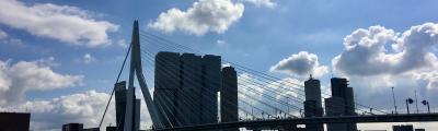 Zicht op de Erasmusbrug vanaf de Boompjes