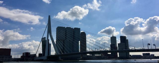 Zicht op de Erasmusbrug vanaf de Boompjes