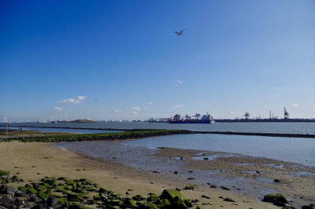 langs een rivier met in de verte havenactiviteiten