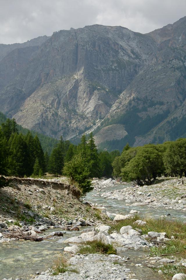 rotsen in een rivier in een berglandschap