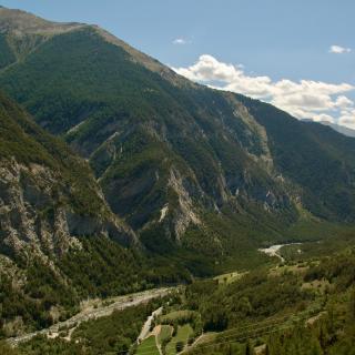 beboste bergen