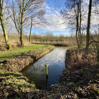 inham met water, omgeven door bomen