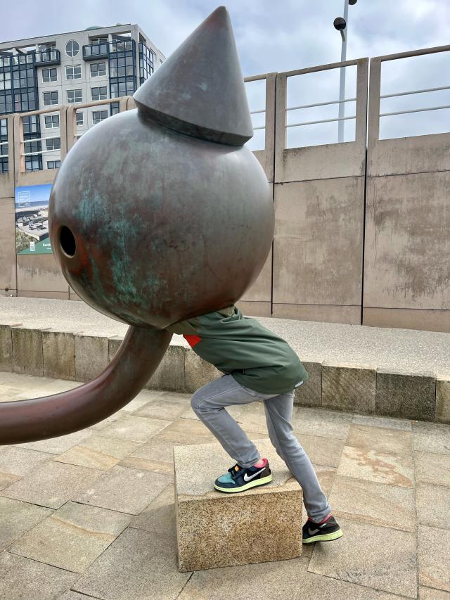 jongen verdijnt in een beeld
