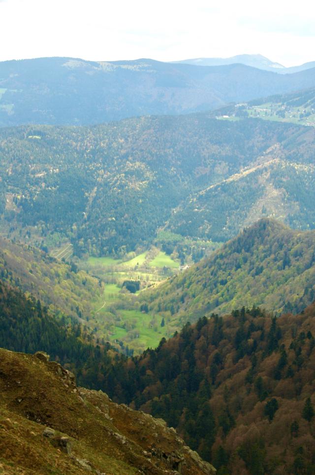 uitzicht de groene vallei in