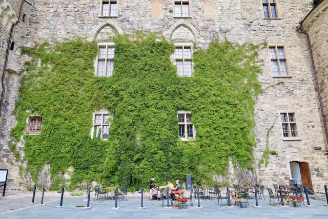 begroeide gevel van een kasteel