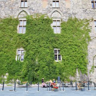 begroeide gevel van een kasteel