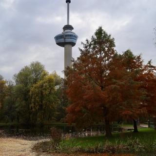 het park in herfstkleuren