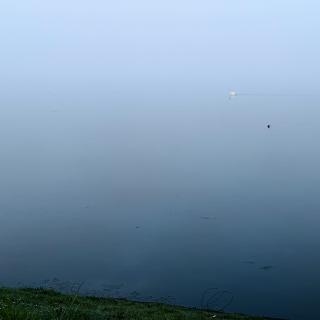 Stille vijver met een zwaan in de verte, omgeven door groen gras en een mistige lucht.