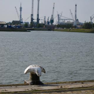 Witte scheepsanker bij een waterkant met kranen en gebouwen in de verte onder een blauwe lucht.