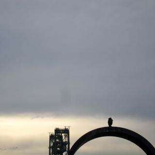 Silhouet van een vogel op een boog met een toren in de verte onder een grijze hemel.