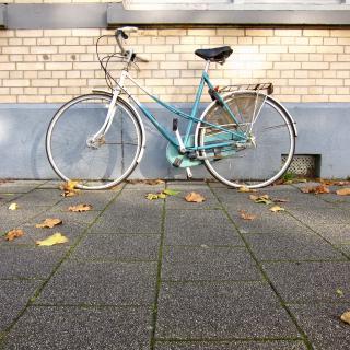 Blauwe fiets met mandje tegen een bakstenen muur, omringd door herfstbladeren op een betonnen stoep.