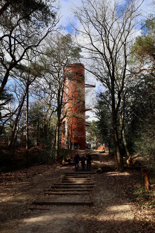 Drie mensen lopen op een pad naar een rode toren in een bos met kale bomen en bladeren op de grond.
