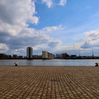 Een stenen kade met twee meeuwen, uitzicht op een rivier met gebouwen en kranen onder een bewolkte hemel.