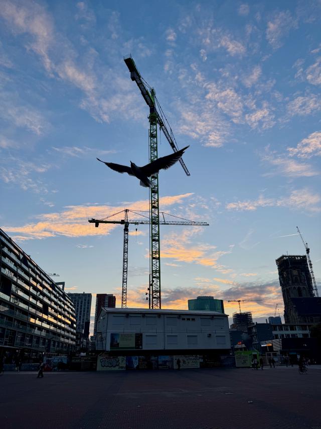 Silhouet van een vogel op een bouwkraan tegen een blauwe lucht met wolken bij zonsondergang in een stedelijke omgeving.