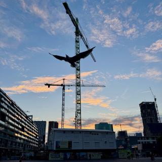 Silhouet van een vogel op een bouwkraan tegen een blauwe lucht met wolken bij zonsondergang in een stedelijke omgeving.