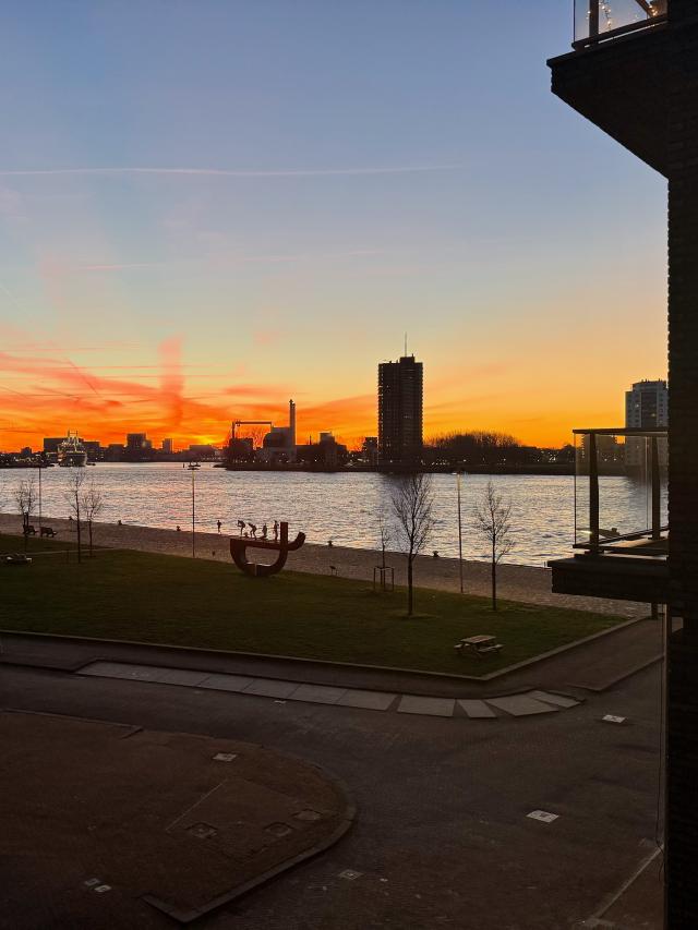 Zonsopgang boven een rivier met een stadssilhouet en een groen park met een sculptuur op de voorgrond.